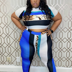 Colorblock Leopard Print Crop Top & Leggings Set