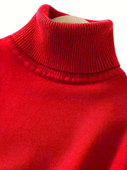 Women's Solid Turtle Neck Sweater Long Sleeve Casual Sweater