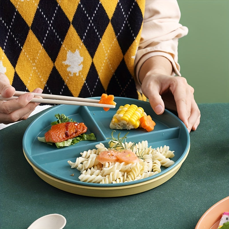 Plastic Dinner Plate for Weight Loss and Picnic