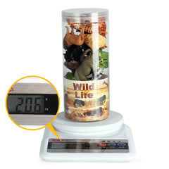 12pcs Mini Wild Animal Set Action Figures Collection Kid Toy