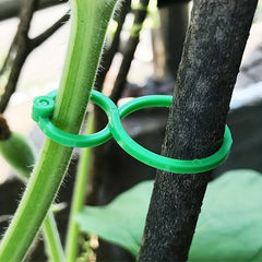Plastic Vine Strapping Clips Plant Buckle Hook Connects Tomato Plant Stand Tools