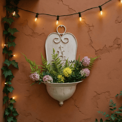 img_5482534