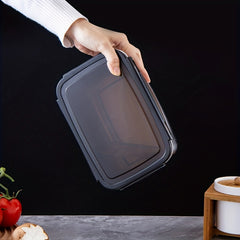 XL Storage Container w/ Handle & Sealed Lid for Freshkeeping - Bento Box
