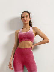 Ombre Sports Bra High Stretch Running Fitness Tank Top Women's Activewear