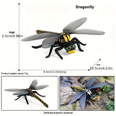 Insect Dragonfly Growth Cycle Model Toy Set