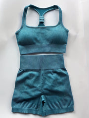 Ribbed Workout Sets Sports Bra & Fitness Shorts for Women