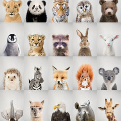 Baby Animals Portrait Posters for Room Decor