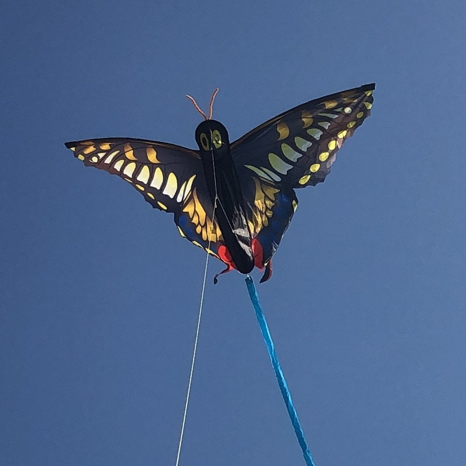 3D Butterfly Kite Multicolor Animal Shaped Outdoor Entertainment Gift