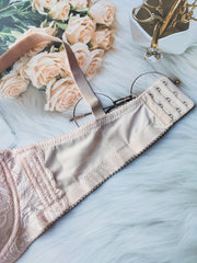 Lace Push Up Bra Scallop Trim Women's Lingerie