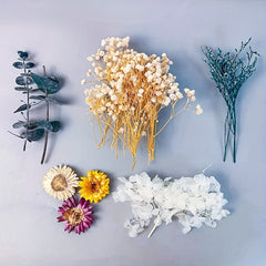 DIY Craft Mixed Dried Flowers for Arrangements Framing Resin Fillers