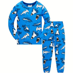 Boys 2pcs Pajamas Cotton Long Sleeve Round Neck Pullover Top & Pants