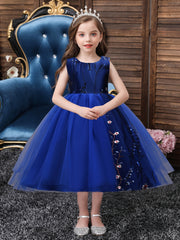 Girls Sleeveless Puffy Princess Dress Flowers Embroidery Tulle Tutu Dress