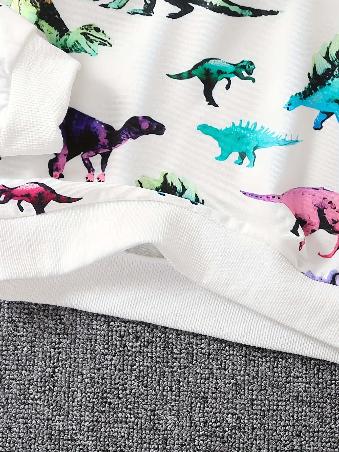 Dinosaur Full Print Boys Sweatshirt Long Sleeve Crew Neck Tops