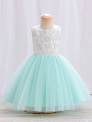Girls Mesh Flower Embroidered Princess Dress