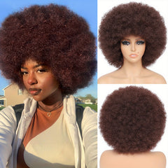 25cm Afro Kinky Curly Wigs - Natural Looking Full Puff Wigs for Party Cosplay