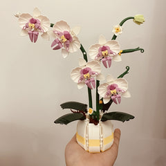 Pink Orchid Vase with Butterfly Valentine's Gift for Her