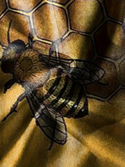 Bee & Honeycomb Pattern Men's 2 Piece Outfits T-shirt & Shorts Set