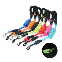 img_5530995