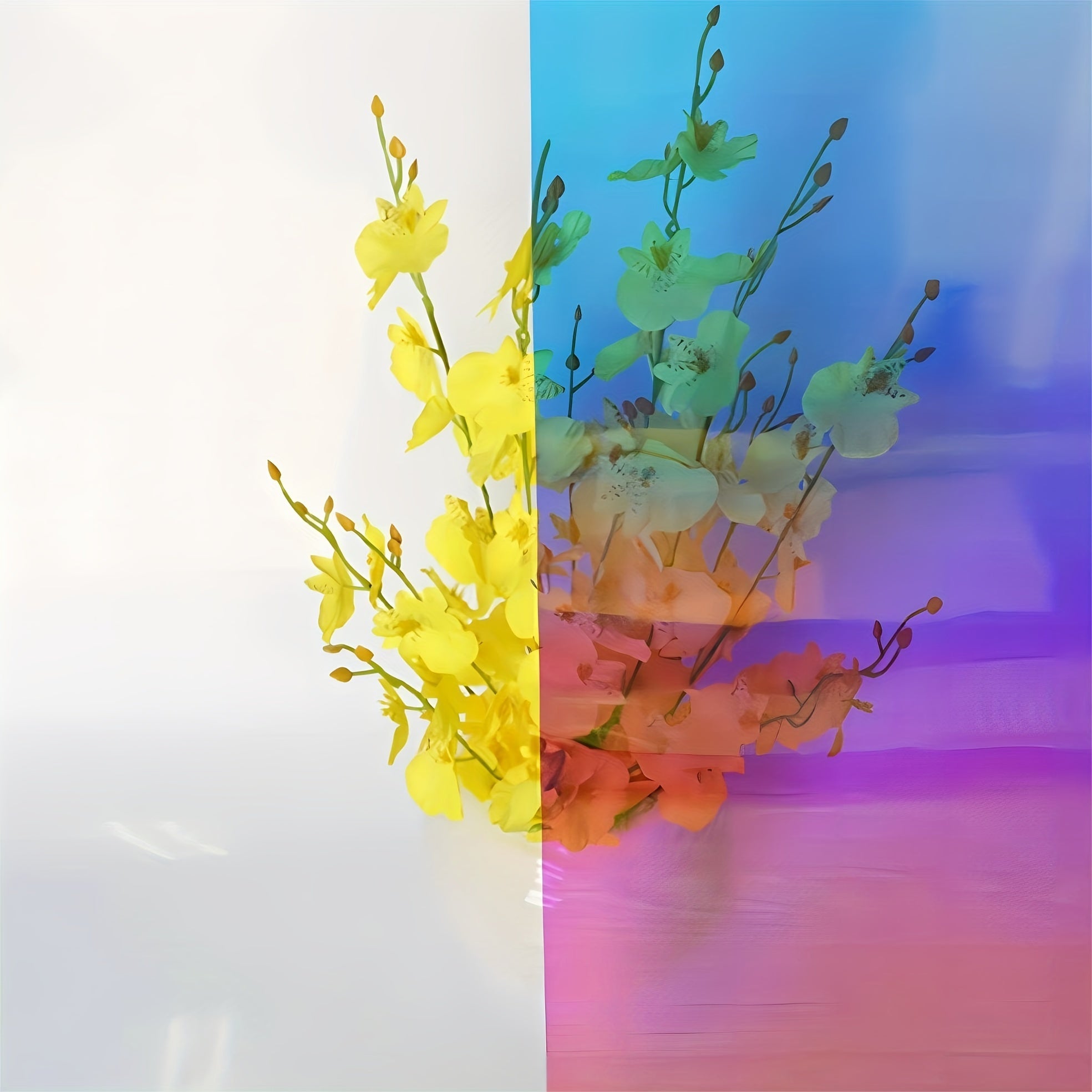 Rainbow Window Film Privacy Protection for Home Decor