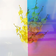 Rainbow Window Film Privacy Protection for Home Decor