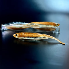 6pcs Soft Swimbaits Straight Tail Bass Fishing Rubber Minnow Lures