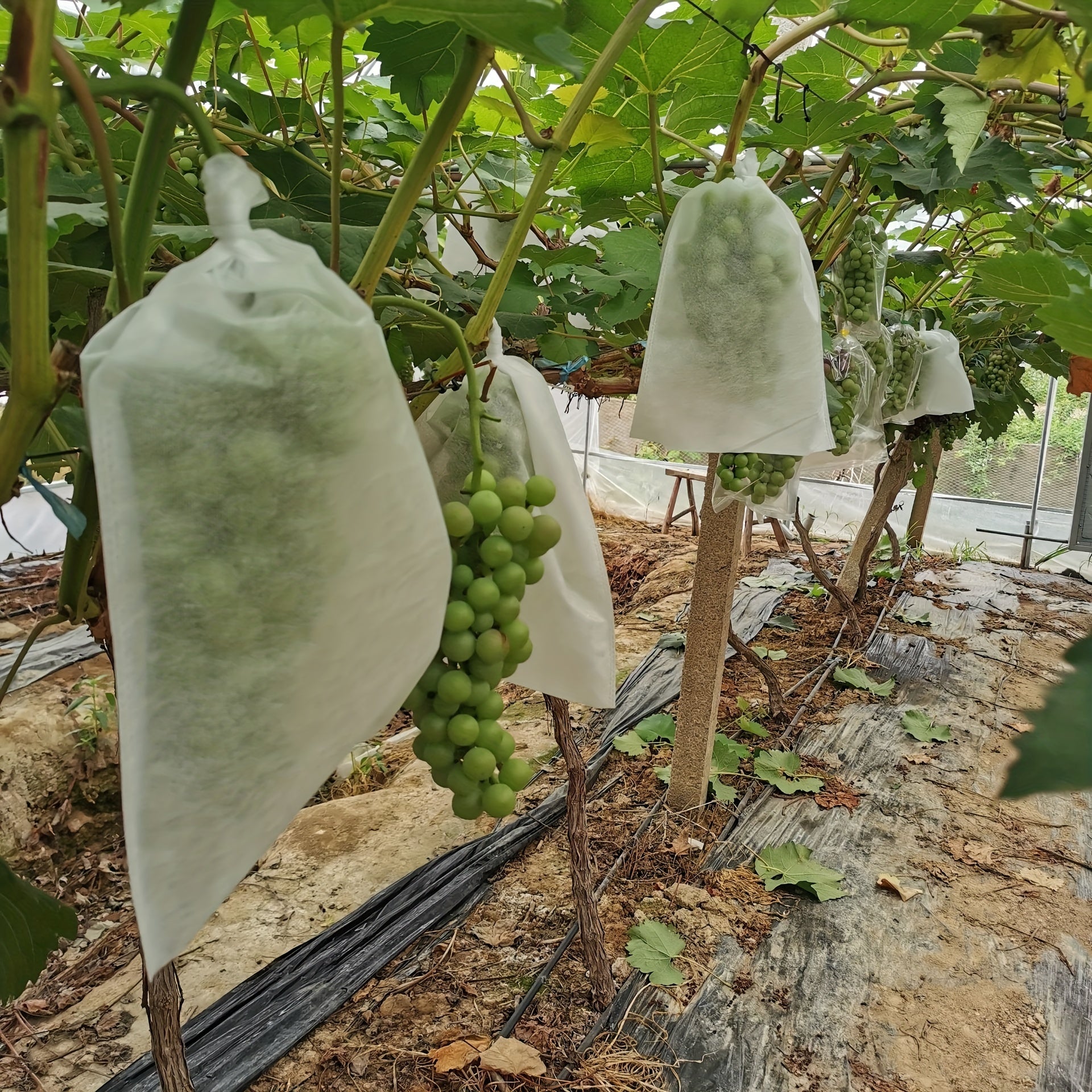 200pcs Non-woven Grape Bag Lotus Mist Bird Proof Fruit Bag 6-7 inch