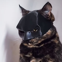 Funny Bat Shaped Pet Cat Helmet Mask Trickster Cat Photo Prop PVC Material