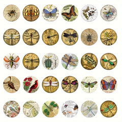 50pcs Retro Insect Specimen Series Graffiti Stickers Waterproof DIY Sticker Pack
