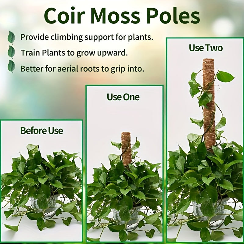 1pc Green Carrot Plant Climbing Pole Palm Rattan St