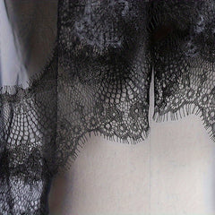 Sheer Bridal Veil with Lace Detailing and Comb