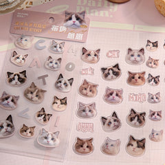 3sheets Cat Cat Head Sticker PVC Resin Coated Paper Photo Album Decoration