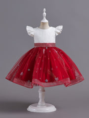 Girls Embroidered Mesh Princess Dress Fly Sleeve Tutu Skirt
