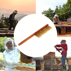 Bee Brush Smooth Surface Beekeeper Tool Natural Wood For Brushing Bees