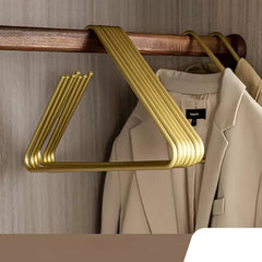 Triangle Hanger for Clothes Scarves Storage