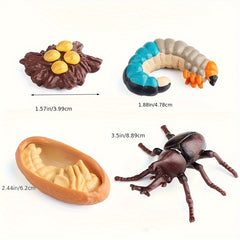 4pcs Mini Animal Growth Cycle Set Unicorn Fairy Shovel Insect Toy