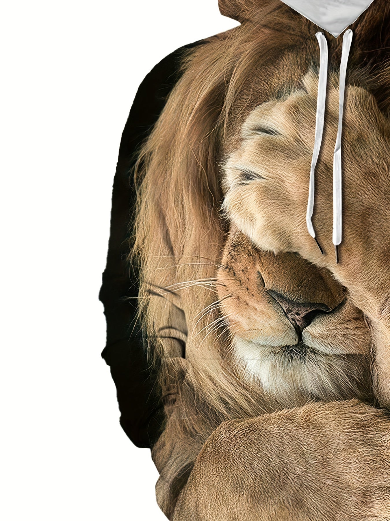 Lion 3D Print Sports Hoodie Men's Casual Pullover Hooded Sweatshirt