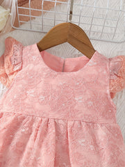 Baby Girl Lace Decor Floral Flutter Sleeve A line Princess Dress