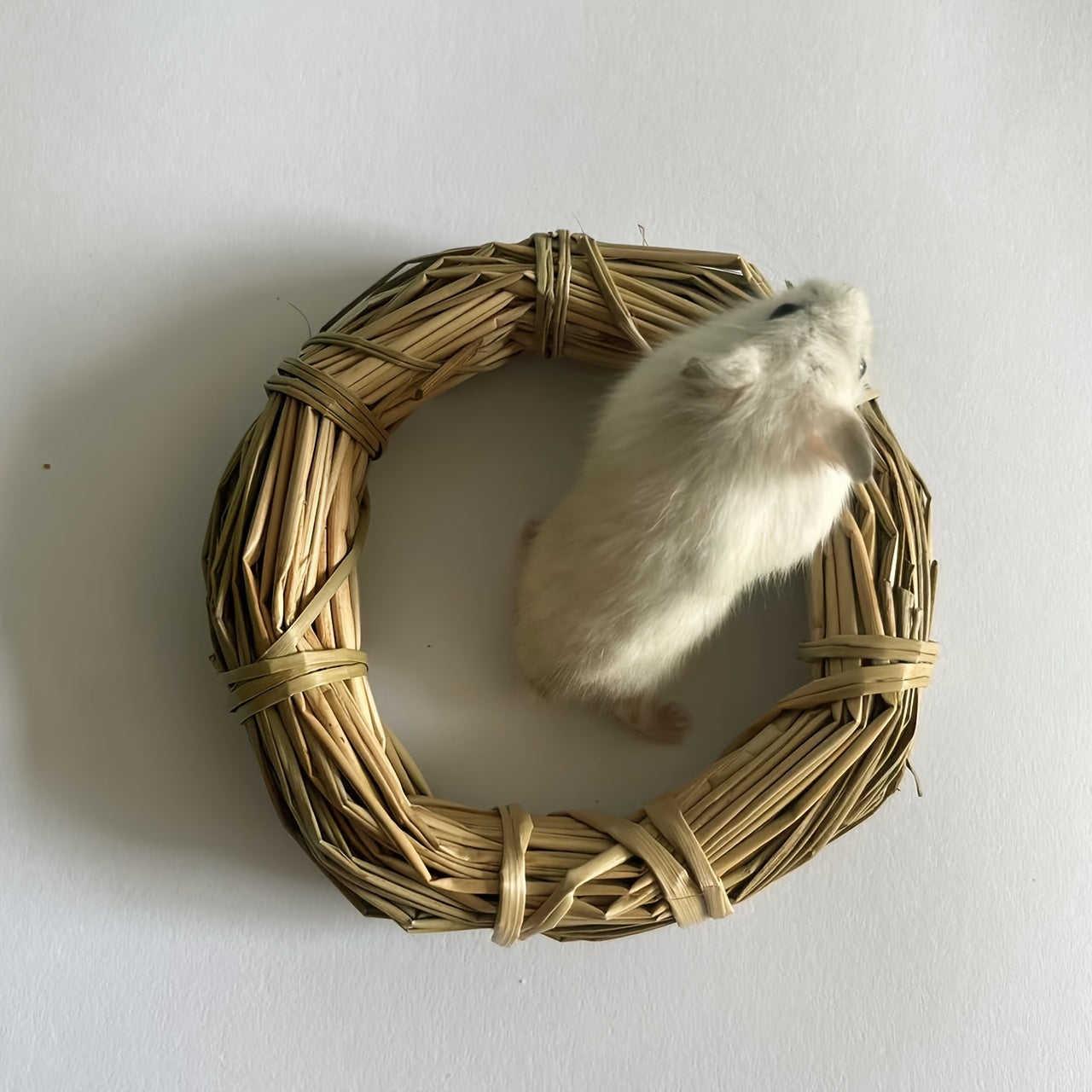 Small Pet Teething Straw Rings, Grass Rings, Chewing Toys