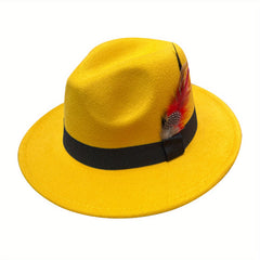 Wide Birm Fedora Hat Feather Decor Felt Hat