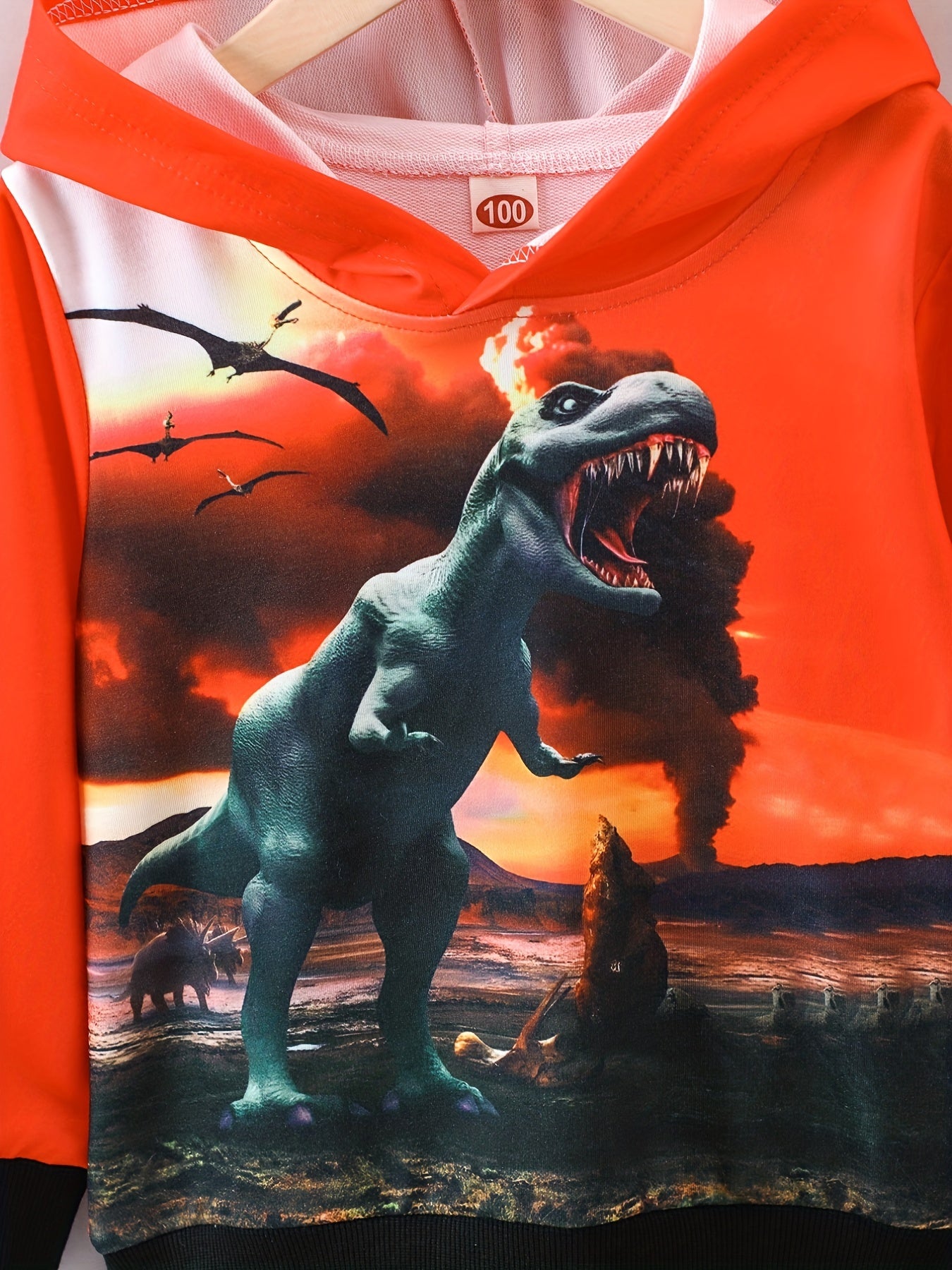 Dino 3D Print Boys Hooded Sweatshirt for Spring Fall