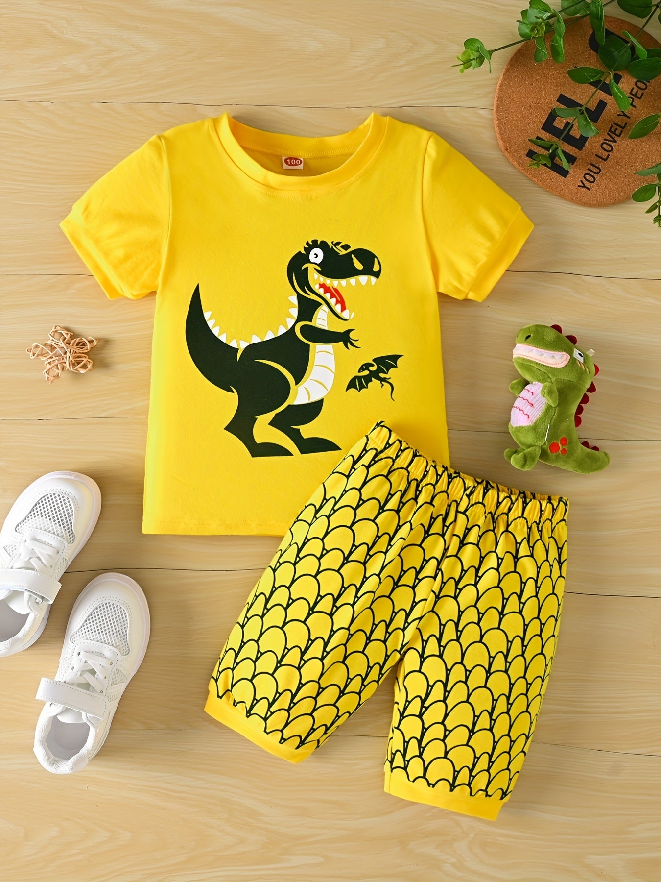 Boys Dinosaur Print T-shirt & Shorts Set