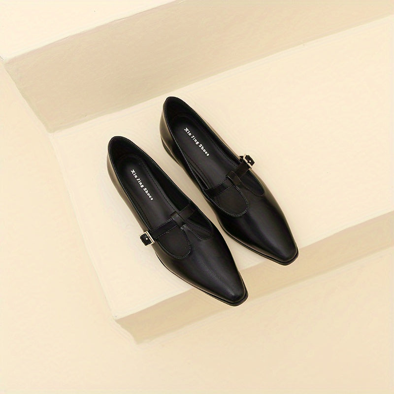 Chunky Low Heel Mary Shoes Buckle Strap Comfortable Walking Shoes