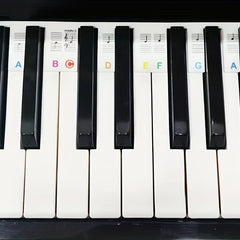 Piano Note Sticker Key Silicone Beginner's Kit