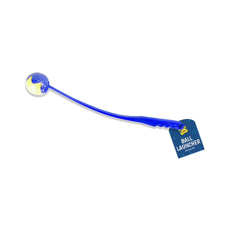 Pet Ball Thrower & Ball Set for Interactive Fetching Fun
