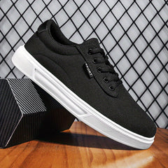 Men's Casual Lace up Skate Shoes Walking Sneakers Men's Shoes
