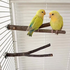 Wood Perch Stand for Parrots and Hamsters - Comfortable and Safe Resting Spot