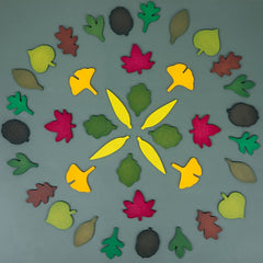 Wooden Leaf Shapes Puzzle Set for Kids Natural Wood Toy Educational Activity