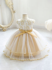 Baby Girls Floral Embroidery Mesh Princess Dress Clothes