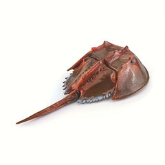 Underwater Animal Model Set Crab Turtle Octopus Static Ornaments