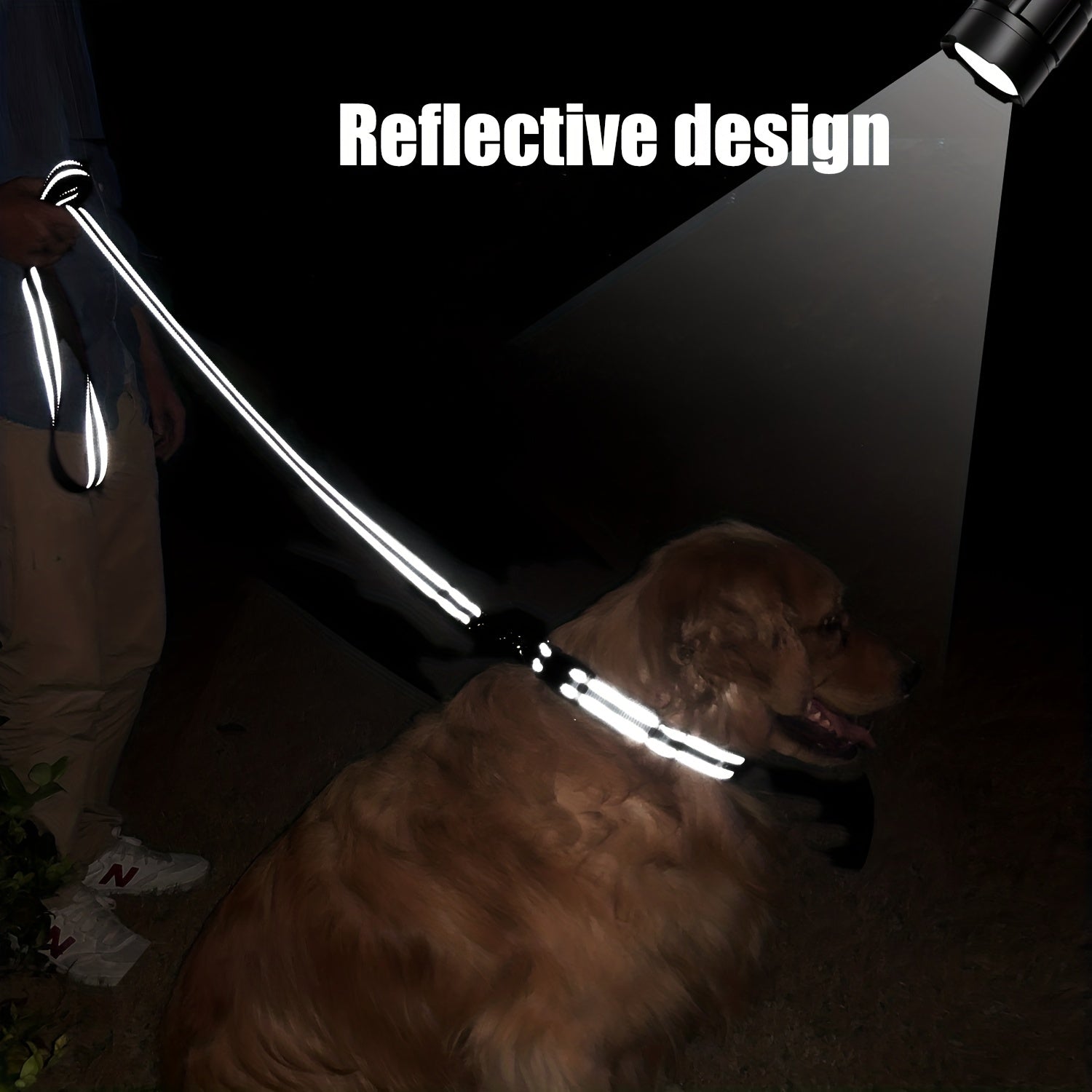 Taglory Reflective Dog Leash with Padded Handle - Medium & Small Dogs